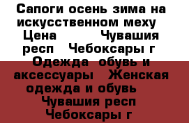 Сапоги осень-зима на искусственном меху › Цена ­ 500 - Чувашия респ., Чебоксары г. Одежда, обувь и аксессуары » Женская одежда и обувь   . Чувашия респ.,Чебоксары г.